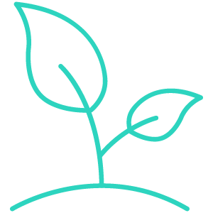 An icon of a growing plant